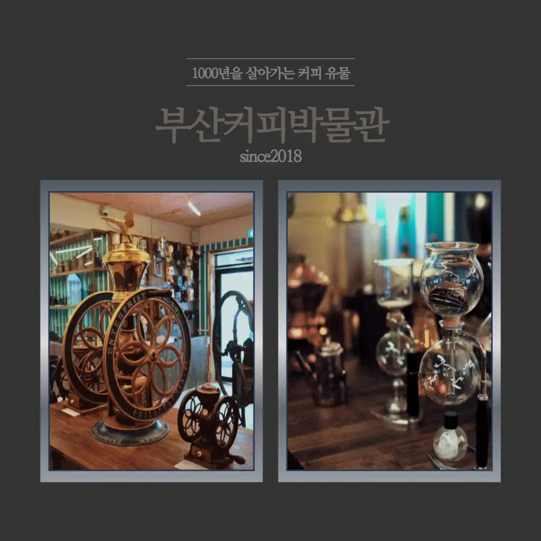 메인 이미지 11